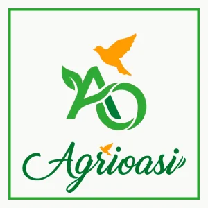 Logo Ufficiale